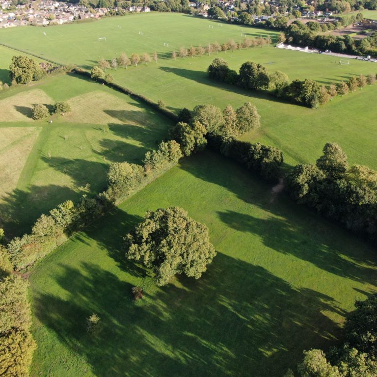 Facts you might not know about farm hedging