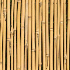 Bamboo canes used to pin rabbit guards in place