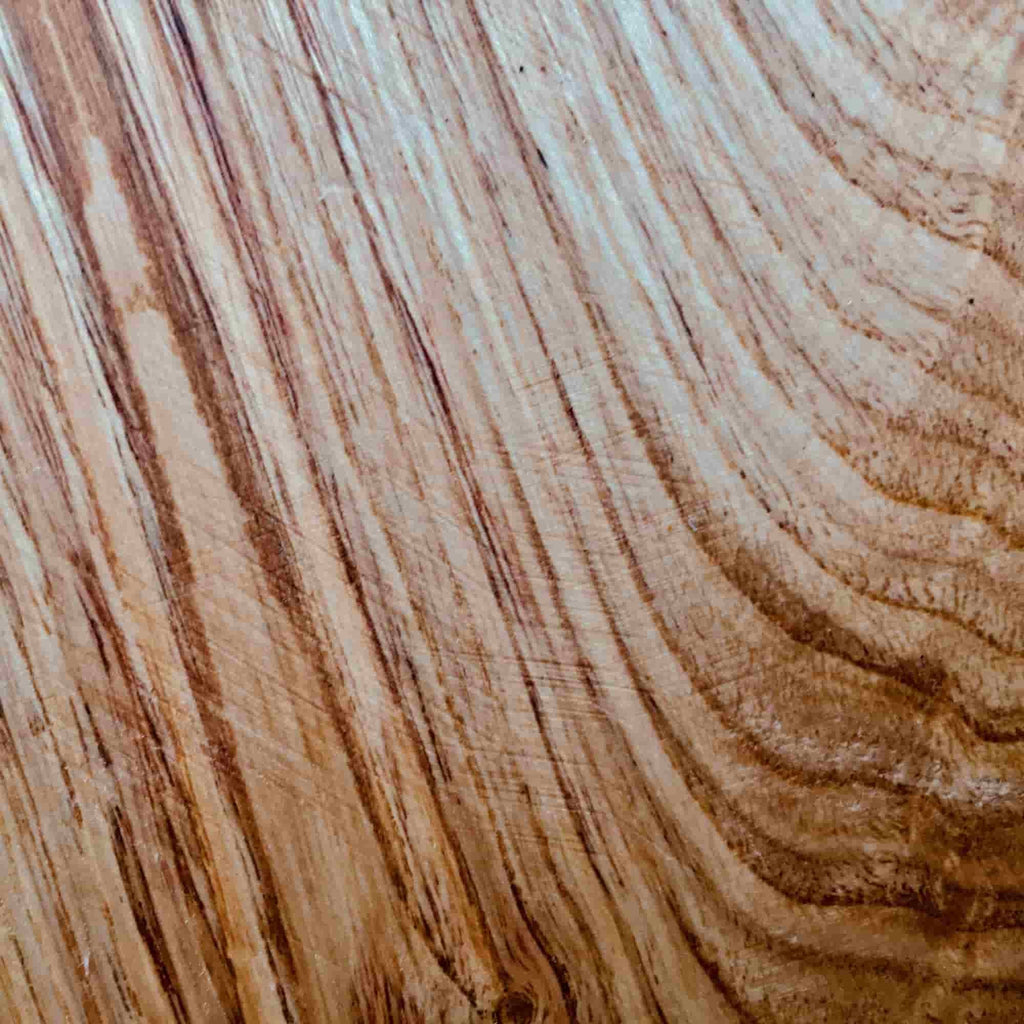 The bark of a Castanea sativa tree (Sweet chestnut) 