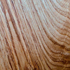 The bark of a Castanea sativa tree (Sweet chestnut) 